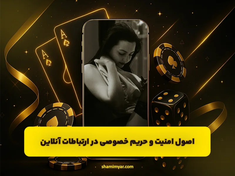 اصول امنیت و حریم خصوصی در ارتباطات آنلاین